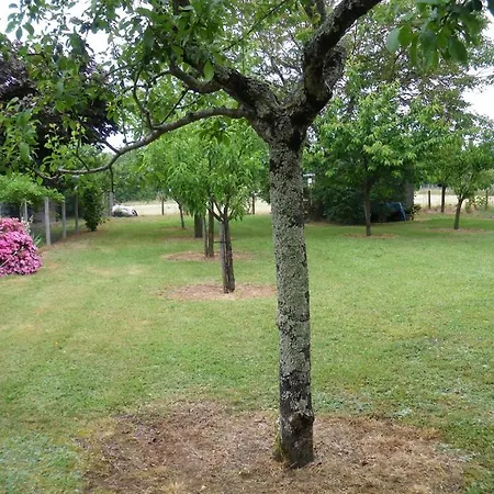 Climatise Les Altheas