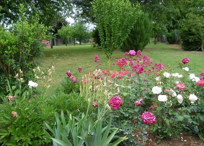 Climatise Les Altheas Vakantiehuis